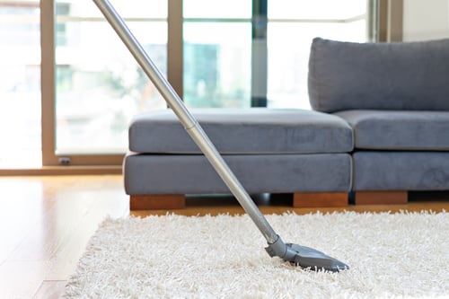 Regular Cleaning / Limpieza Regular